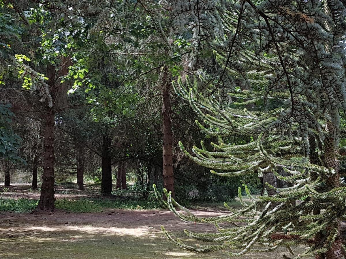 Le Clos des Écureuils Vouzon Exterior foto
