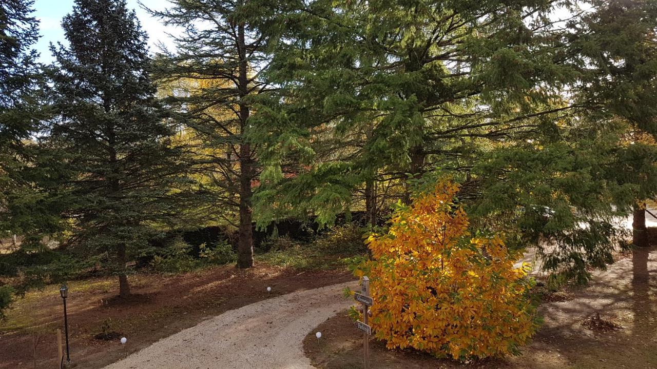 Le Clos des Écureuils Vouzon Exterior foto