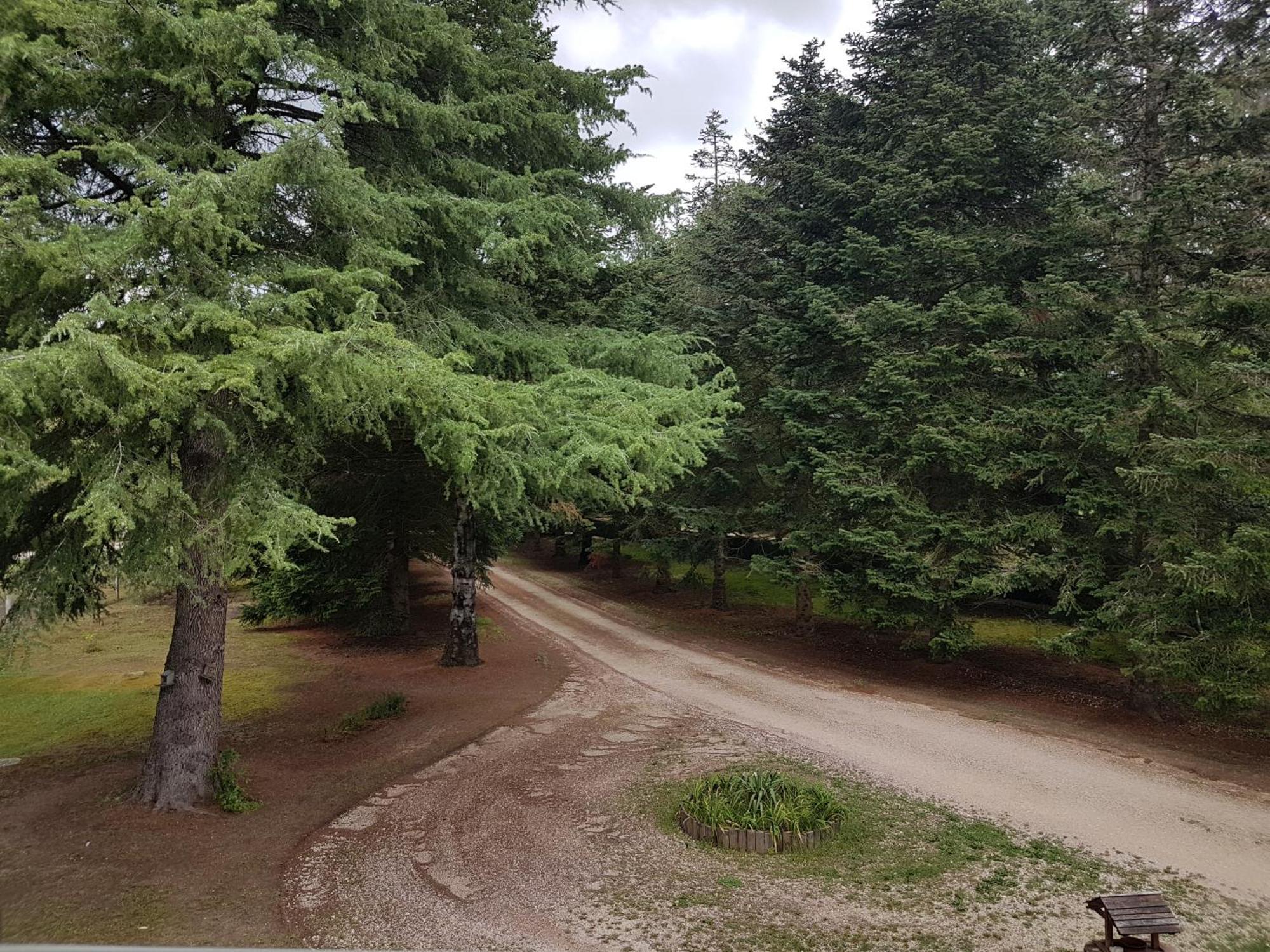 Le Clos des Écureuils Vouzon Exterior foto