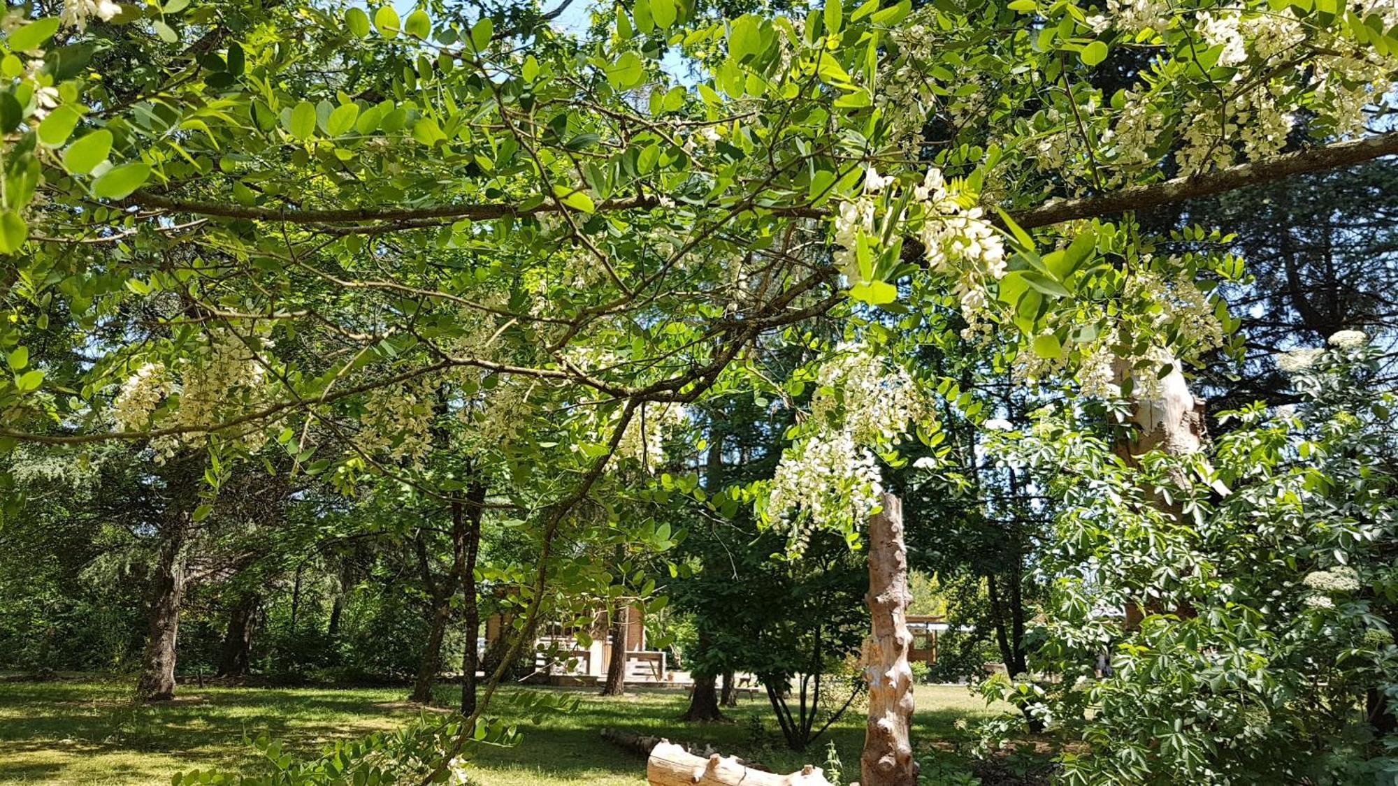 Le Clos des Écureuils Vouzon Exterior foto